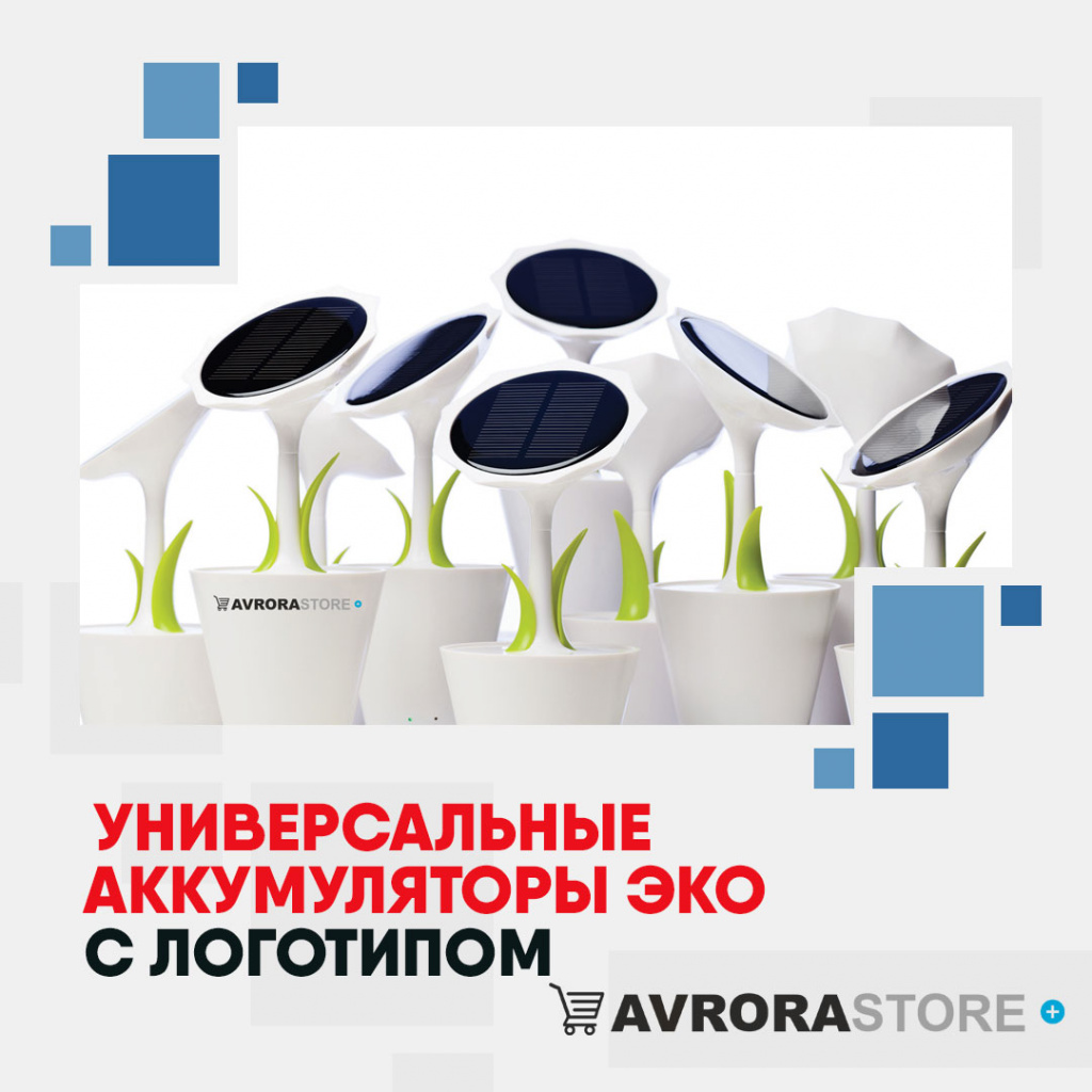 Аккумуляторы ЭКО с логотипом в Санкт-Петербурге купить на заказ в кибермаркете AvroraSTORE