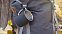 Кружка с карабином "Юта" 300 мл, покрытие soft touch с логотипом в Санкт-Петербурге заказать по выгодной цене в кибермаркете AvroraStore