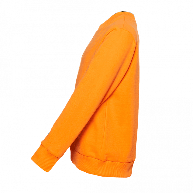 Толстовка  Оранжевый с логотипом в Санкт-Петербурге заказать по выгодной цене в кибермаркете AvroraStore