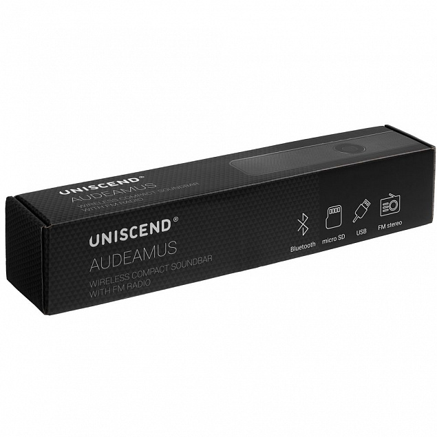 Беспроводная стереоколонка с FM-радио Uniscend Audeamus, черная с логотипом в Санкт-Петербурге заказать по выгодной цене в кибермаркете AvroraStore