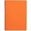 Ежедневник Spring Shall, недатированный, оранжевый с логотипом в Санкт-Петербурге заказать по выгодной цене в кибермаркете AvroraStore
