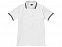 Рубашка поло "Erie" мужская с логотипом в Санкт-Петербурге заказать по выгодной цене в кибермаркете AvroraStore
