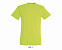 Фуфайка (футболка) REGENT мужская,Зеленое яблоко XXS с логотипом в Санкт-Петербурге заказать по выгодной цене в кибермаркете AvroraStore