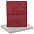 Набор Business Diary, красный с логотипом в Санкт-Петербурге заказать по выгодной цене в кибермаркете AvroraStore