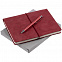 Набор Business Diary, красный с логотипом в Санкт-Петербурге заказать по выгодной цене в кибермаркете AvroraStore