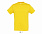 Фуфайка (футболка) REGENT мужская,Жёлтый XXS с логотипом в Санкт-Петербурге заказать по выгодной цене в кибермаркете AvroraStore