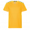 Футболка StanClass Жёлтый с логотипом в Санкт-Петербурге заказать по выгодной цене в кибермаркете AvroraStore