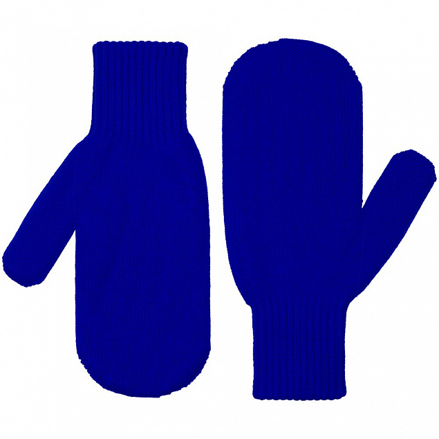Варежки Life Explorer, синие с логотипом в Санкт-Петербурге заказать по выгодной цене в кибермаркете AvroraStore