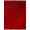 Шарф Nordkapp, красный с логотипом в Санкт-Петербурге заказать по выгодной цене в кибермаркете AvroraStore
