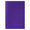 Ежедневник недатированный City Canyon 145х205 мм, без календаря, фиолетовый с логотипом в Санкт-Петербурге заказать по выгодной цене в кибермаркете AvroraStore