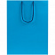 Пакет бумажный Porta XL, голубой с логотипом в Санкт-Петербурге заказать по выгодной цене в кибермаркете AvroraStore