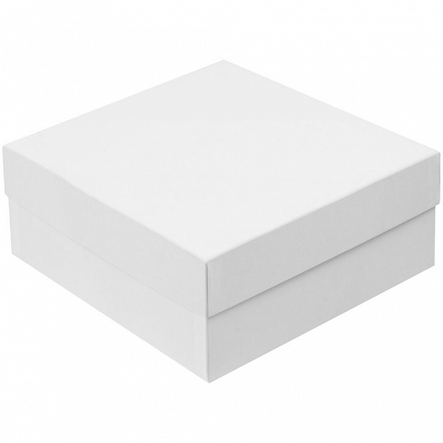 Коробка Emmet, большая, белая с логотипом в Санкт-Петербурге заказать по выгодной цене в кибермаркете AvroraStore