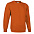 Толстовка DUBLIN, оранжевая фиеста M с логотипом в Санкт-Петербурге заказать по выгодной цене в кибермаркете AvroraStore