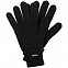 Перчатки Alpine, черные с логотипом в Санкт-Петербурге заказать по выгодной цене в кибермаркете AvroraStore