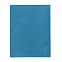 Бизнес-блокнот "Biggy", B5 формат, голубой, серый форзац, мягкая обложка, в клетку с логотипом в Санкт-Петербурге заказать по выгодной цене в кибермаркете AvroraStore