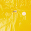 Дождевик BrightWay, желтый с логотипом в Санкт-Петербурге заказать по выгодной цене в кибермаркете AvroraStore