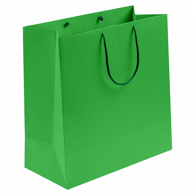 Пакет бумажный Porta, большой, зеленый с логотипом в Санкт-Петербурге заказать по выгодной цене в кибермаркете AvroraStore