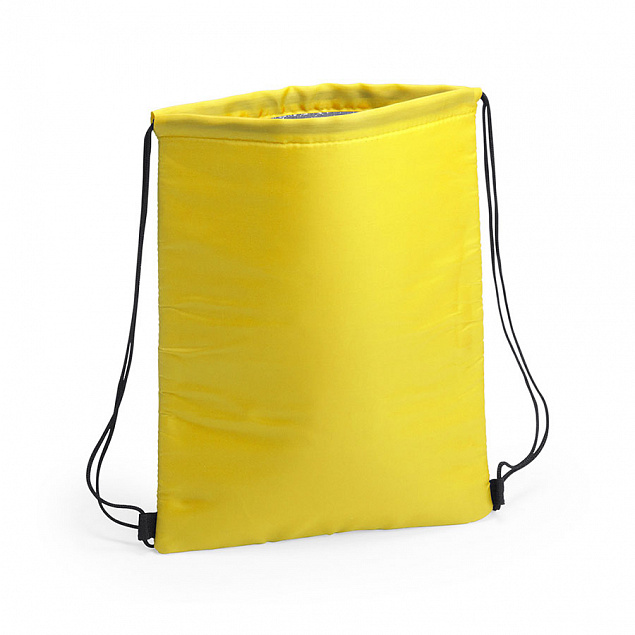 Термосумка NIPEX, желтый, полиэстер, алюминивая подкладка, 32 x 42  см с логотипом в Санкт-Петербурге заказать по выгодной цене в кибермаркете AvroraStore