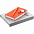Набор Idea Memory, красный с логотипом в Санкт-Петербурге заказать по выгодной цене в кибермаркете AvroraStore