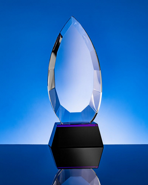 Награда Droplet с логотипом в Санкт-Петербурге заказать по выгодной цене в кибермаркете AvroraStore