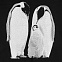 Свитшот детский Like a Penguin, черный с логотипом в Санкт-Петербурге заказать по выгодной цене в кибермаркете AvroraStore