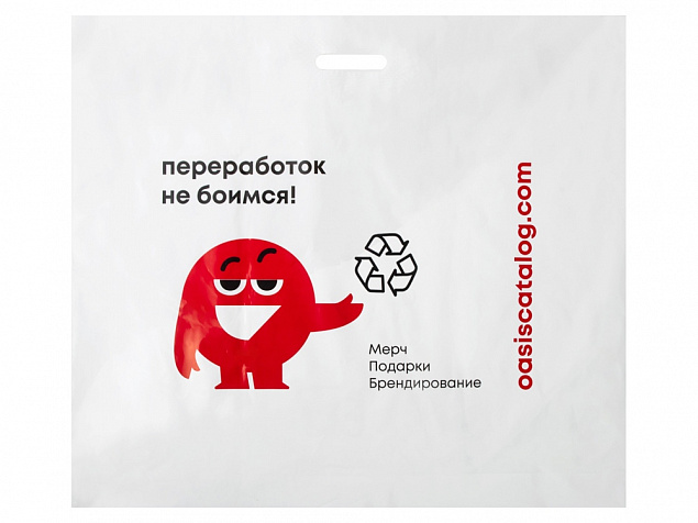 Фирменный пакет Oasis, L с логотипом в Санкт-Петербурге заказать по выгодной цене в кибермаркете AvroraStore