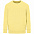 Свитшот детский Columbia Kids, светло-желтый с логотипом в Санкт-Петербурге заказать по выгодной цене в кибермаркете AvroraStore