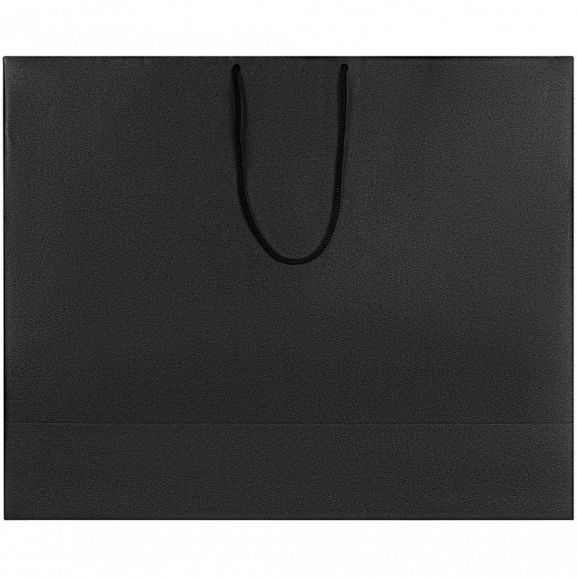 Пакет бумажный «Блеск», большой, черный с логотипом в Санкт-Петербурге заказать по выгодной цене в кибермаркете AvroraStore