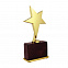 Статуэтка "Звезда", золото с логотипом в Санкт-Петербурге заказать по выгодной цене в кибермаркете AvroraStore