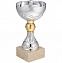 Кубок Grail, серебристый с логотипом в Санкт-Петербурге заказать по выгодной цене в кибермаркете AvroraStore