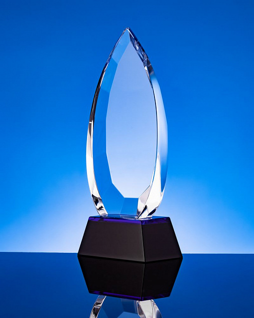 Награда Droplet с логотипом в Санкт-Петербурге заказать по выгодной цене в кибермаркете AvroraStore