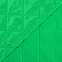 Плед для пикника Comfy, светло-зеленый с логотипом в Санкт-Петербурге заказать по выгодной цене в кибермаркете AvroraStore