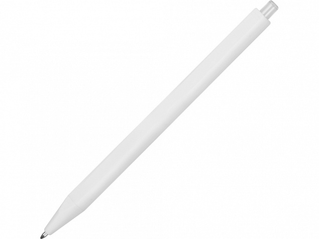 Ручка пластиковая шариковая Pigra P01 с логотипом в Санкт-Петербурге заказать по выгодной цене в кибермаркете AvroraStore