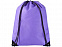 Рюкзак-мешок Evergreen, фиолетовый с логотипом в Санкт-Петербурге заказать по выгодной цене в кибермаркете AvroraStore