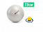 Мяч для фитнеса Fitball 75 с насосом с логотипом в Санкт-Петербурге заказать по выгодной цене в кибермаркете AvroraStore