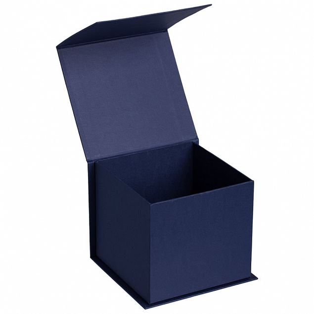 Коробка Alian, синяя с логотипом в Санкт-Петербурге заказать по выгодной цене в кибермаркете AvroraStore
