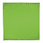 Платок-бандана BANDANA - Светло-зеленый YY с логотипом в Санкт-Петербурге заказать по выгодной цене в кибермаркете AvroraStore