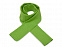 Шарф Dunant, зеленое яблоко с логотипом в Санкт-Петербурге заказать по выгодной цене в кибермаркете AvroraStore