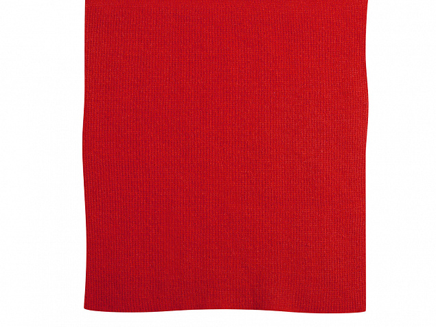 Шарф Dunant, красный с логотипом в Санкт-Петербурге заказать по выгодной цене в кибермаркете AvroraStore
