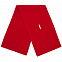 Шарф Yong, красный с логотипом в Санкт-Петербурге заказать по выгодной цене в кибермаркете AvroraStore