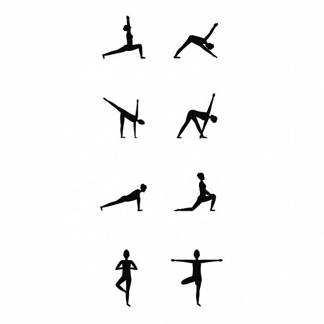 Набор для фитнеса и йоги с логотипом в Санкт-Петербурге заказать по выгодной цене в кибермаркете AvroraStore