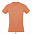 Фуфайка (футболка) REGENT мужская,Арми XS с логотипом в Санкт-Петербурге заказать по выгодной цене в кибермаркете AvroraStore