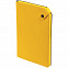 Набор Tenax Color, желтый с логотипом в Санкт-Петербурге заказать по выгодной цене в кибермаркете AvroraStore