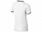 Рубашка поло "Erie" мужская с логотипом в Санкт-Петербурге заказать по выгодной цене в кибермаркете AvroraStore