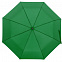 Зонт складной Monsoon, зеленый с логотипом в Санкт-Петербурге заказать по выгодной цене в кибермаркете AvroraStore