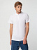 Рубашка поло мужская SUMMER 170, белая с логотипом в Санкт-Петербурге заказать по выгодной цене в кибермаркете AvroraStore
