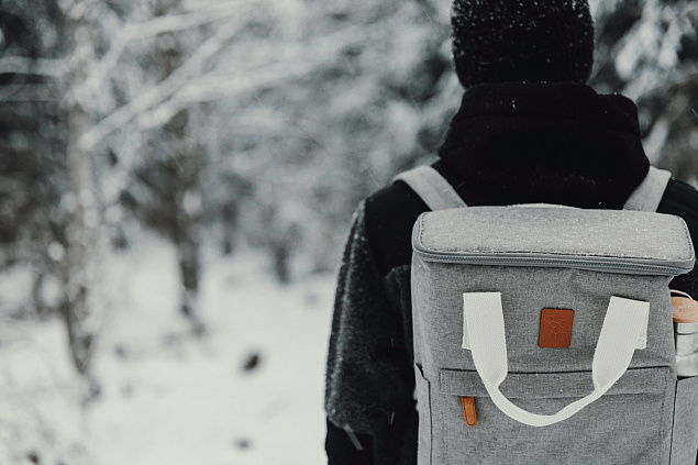 Рюкзак-холодильник VINGA Sortino из rPET с логотипом в Санкт-Петербурге заказать по выгодной цене в кибермаркете AvroraStore