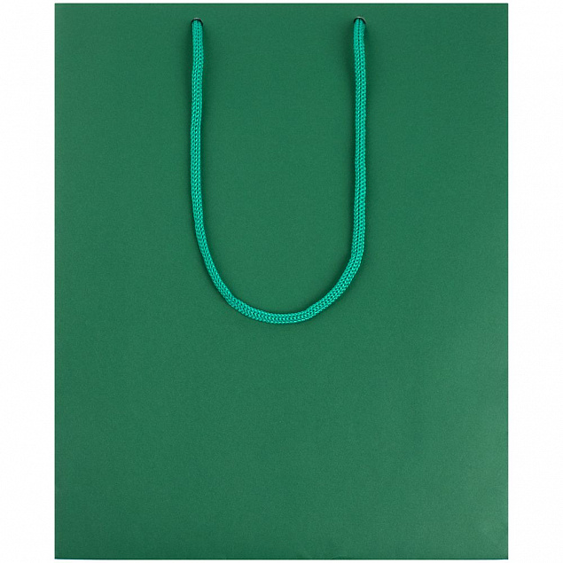 Пакет Wide, зеленый с логотипом в Санкт-Петербурге заказать по выгодной цене в кибермаркете AvroraStore