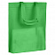 Сумка для покупок Span 70, зеленая с логотипом в Санкт-Петербурге заказать по выгодной цене в кибермаркете AvroraStore