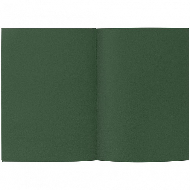 Ежедневник Flat, недатированный, зеленый с логотипом в Санкт-Петербурге заказать по выгодной цене в кибермаркете AvroraStore